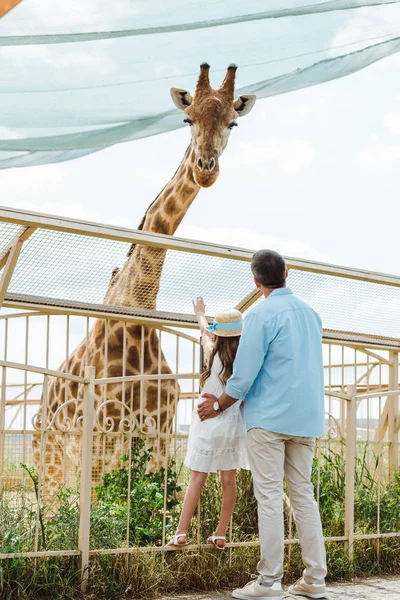 Back View Father Daughter Straw Hat Standing Fence Giraffe Zoo — Stock Photo, Image