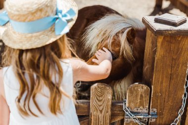 back view of kid in straw hat touching pony while standing in zoo  clipart