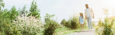 yakışıklı baba ve kızı yeşil bitkilerin yakınında yürüyüş ve el ele tutuşarak panoramik çekim 