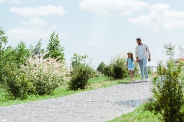 yakışıklı baba ve kızı yeşil bitkilerin yakınında yürüyüş ve el ele tutuşarak 