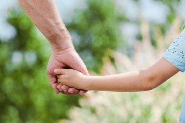 cropped view of father holding hands with daughter  clipart