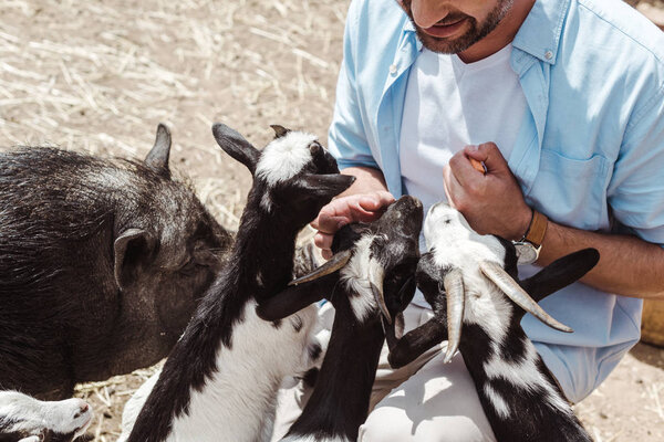 cropped view of cheerful man touching goats near boar in zoo 
