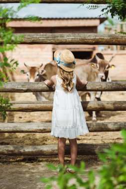back view of child in straw hat standing near fence with bulls in zoo  clipart