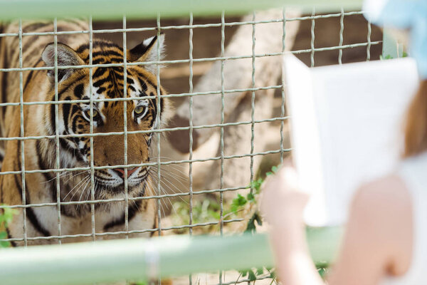 selective focus of tiger in cage near kid holding book in zoo 