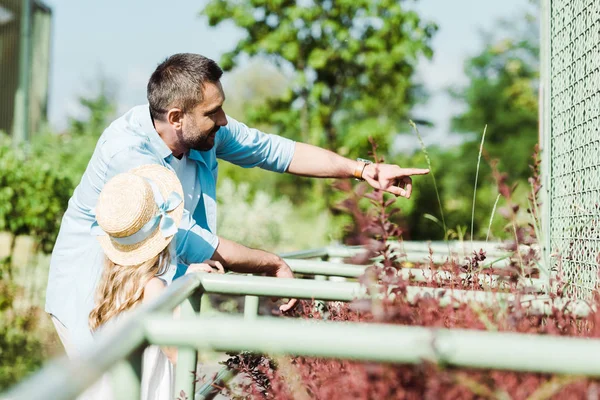 Baba Seçici Odak Çocuk Bitkilerin Yakınında Parmak Ile Işaret — Stok fotoğraf