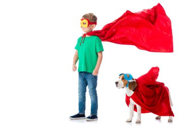 maske ve beyaz üzerinde izole kırmızı kahraman cloacks gülümseyen Anaokulu çocuk ve Beagle köpek tam uzunlukta görünümü