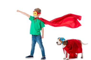 beyaz üzerinde izole maskeler ve kırmızı kahraman cloacks içinde yumruk yukarı ve Beagle köpek ile gülümseyen Anaokulu çocuk tam uzunlukta görünümü