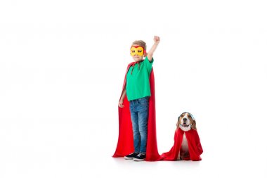 beyaz üzerinde izole maskeler ve kırmızı kahraman cloacks içinde yumruk yukarı ve Beagle köpek ile okul öncesi çocuk tam uzunlukta görünümü