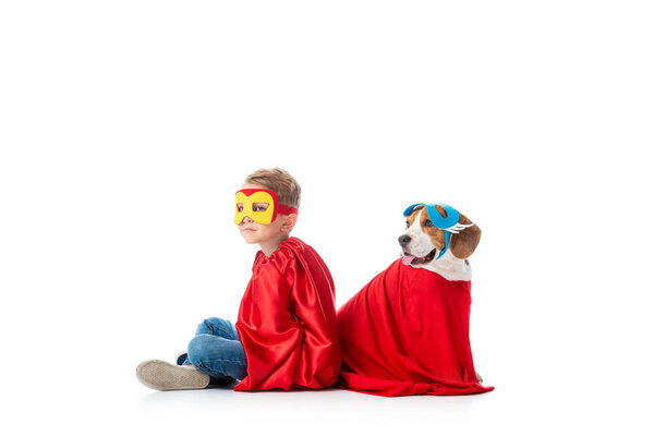 preschooler child and beagle dog in masks and red hero cloacks sitting back to back isolated on white