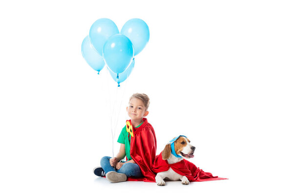 preschooler child and beagle dog in red hero cloaks with blue party balloons on white