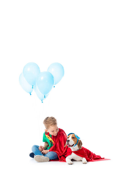 preschooler child and beagle dog in red hero cloaks with blue party balloons on white