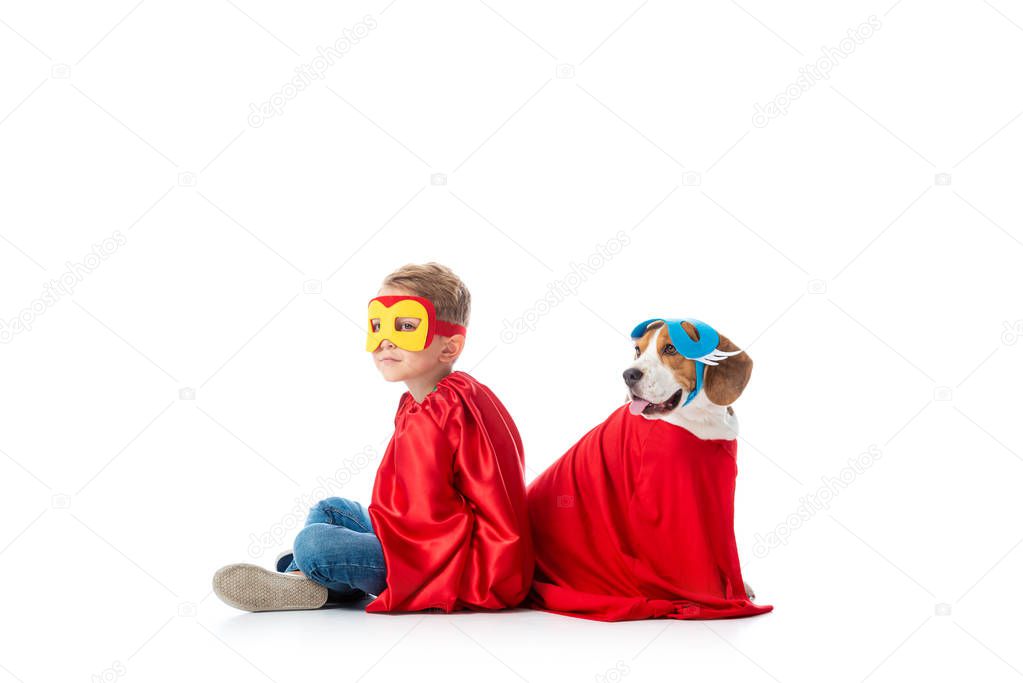 preschooler child and beagle dog in masks and red hero cloacks sitting back to back isolated on white