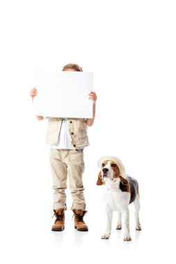 full length view of explorer kid holding placard and beagle dog in hat on white clipart
