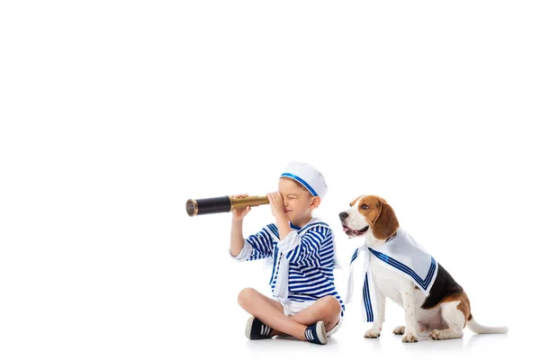 白の上にビーグル犬と座っている間 スパイグラスを見てセーラー衣装で焦点を当てた未就学児 — ストック写真