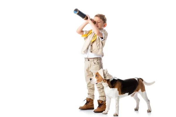 Full Length View Preschooler Explorer Boy Beagle Dog Looking Spyglass — Stock Photo, Image