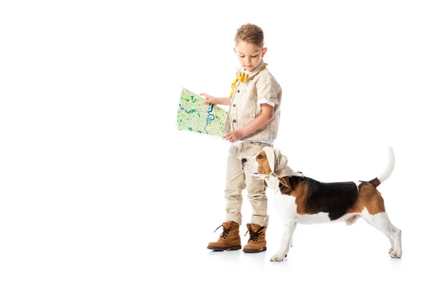 マップを保持し 白で隔離されたビーグル犬を見て探検家の子供の完全な長さのビュー — ストック写真