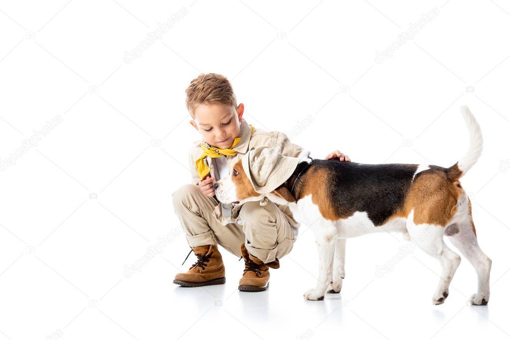 preschooler explorer kid stroking beagle dog in hat on white