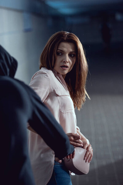 вор крадет сумку у привлекательной женщины в подземке
