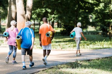 fitness paspaslar tutan ve çim üzerinde yürüyüş mutlu üst düzey ve çok kültürlü emeklilerin geri görünümü 