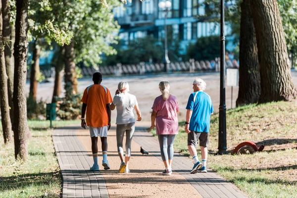 Back View Senior Women Running Multicultural Retired Men Park — Stock Photo, Image