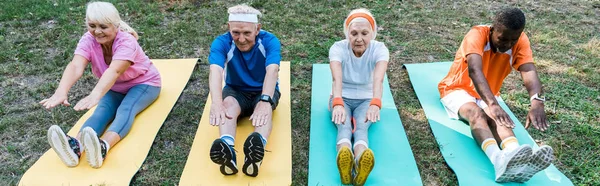 Panoramic Shot Athletic Retired Multicultural Men Woman Exercising Fitness Mats — Stock Photo, Image