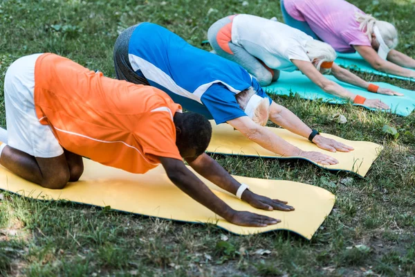 Selective Focus Multicultural Retired Men Women Stretching Fitness Mats Park — Stock Photo, Image