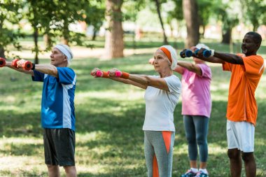 parkta dumbbells ile spor giyim eğitimi emeklilerin seçici odak 