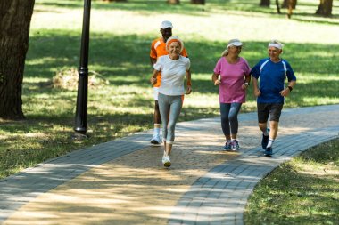 selective focus multicultural retired women and men in sportswear jogging in walkway in park  clipart
