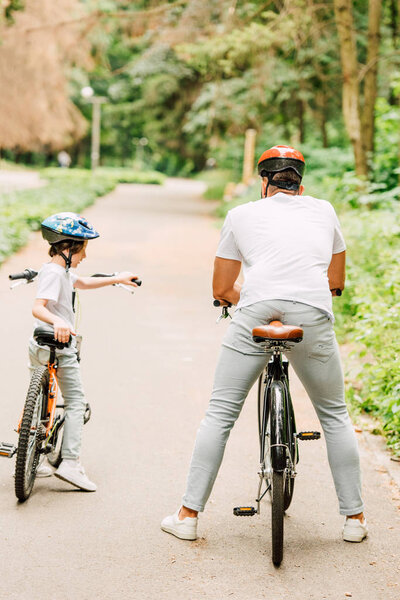 back view of father with son sitting on bicycles near forest