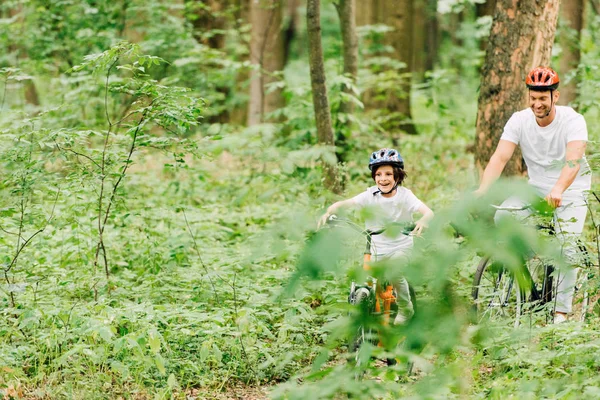 Vater Und Sohn Mit Helm Auf Fahrrädern Durch Wald — Stockfoto