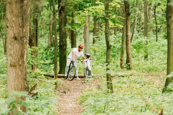 Full Length View Father Son Standing Forest While Man Talking — Stock Photo, Image