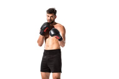 kaslı Boxer fotoğraf makinesi görünümlü beyaz üzerinde kopya alanı ile Izole
