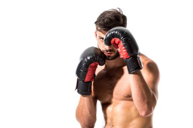 muscular Boxer in boxing gloves Isolated On White clipart