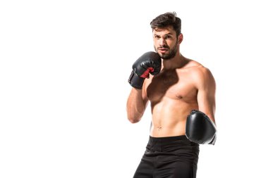 yakışıklı kaslı Boxer fotoğraf makinesi görünümlü beyaz üzerinde kopya alanı ile Izole