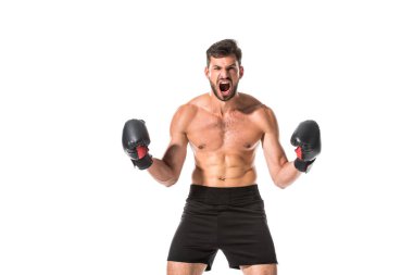 öfkeli gömleksiz Boxer boks eldiven içinde beyaz Izole çığlık