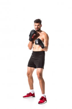 gömleksiz Boxer ınboxing eldiven görünümlü kamera beyaz üzerinde Izole