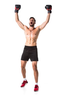 gömleksiz Boxer ile yükseltilmiş eller beyaz üzerinde Izole