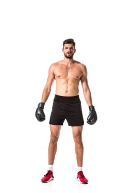 gömleksiz Boxer görünümlü kamera beyaz üzerinde Izole