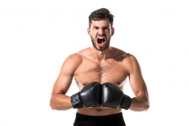handsome shirtless Boxer yelling Isolated On White clipart