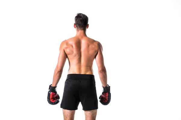 Back View Shirtless Boxer Isolated White Copy Space — Stock Photo, Image