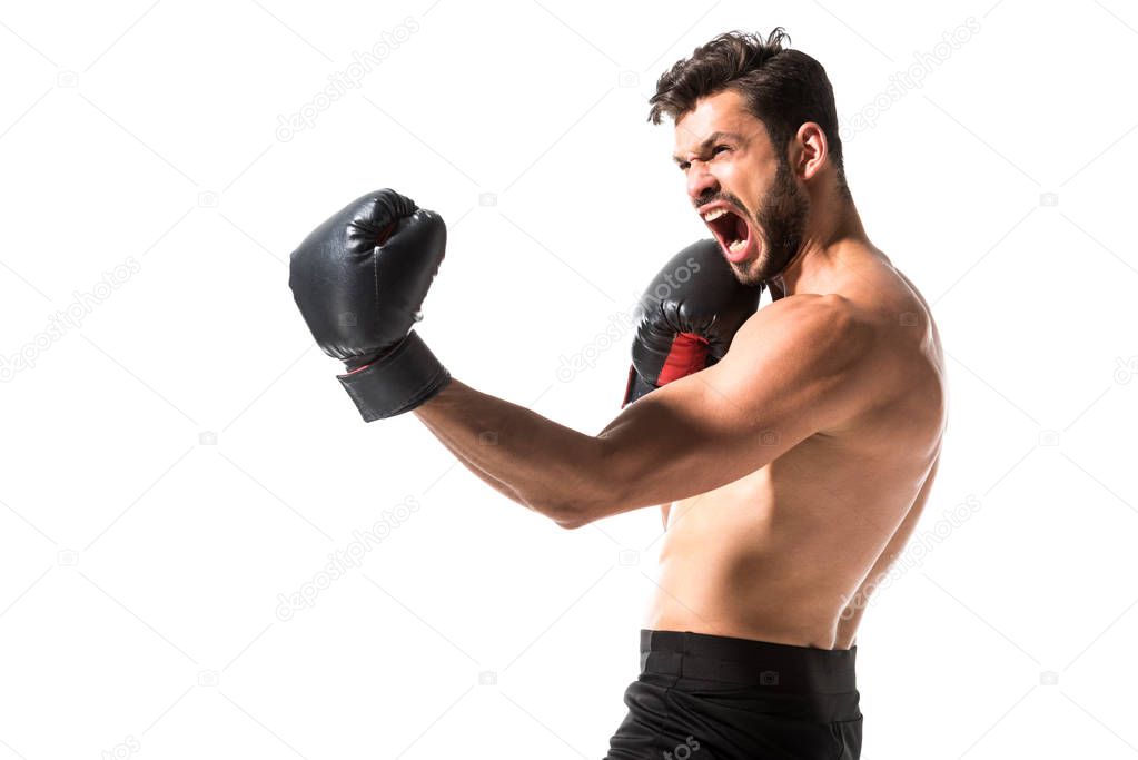 angry athletic shirtless Boxer yelling Isolated On White