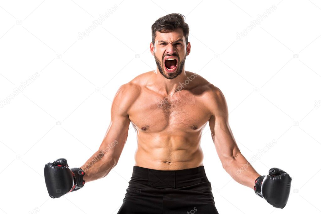 angry shirtless Boxer in boxing gloves yelling Isolated On White