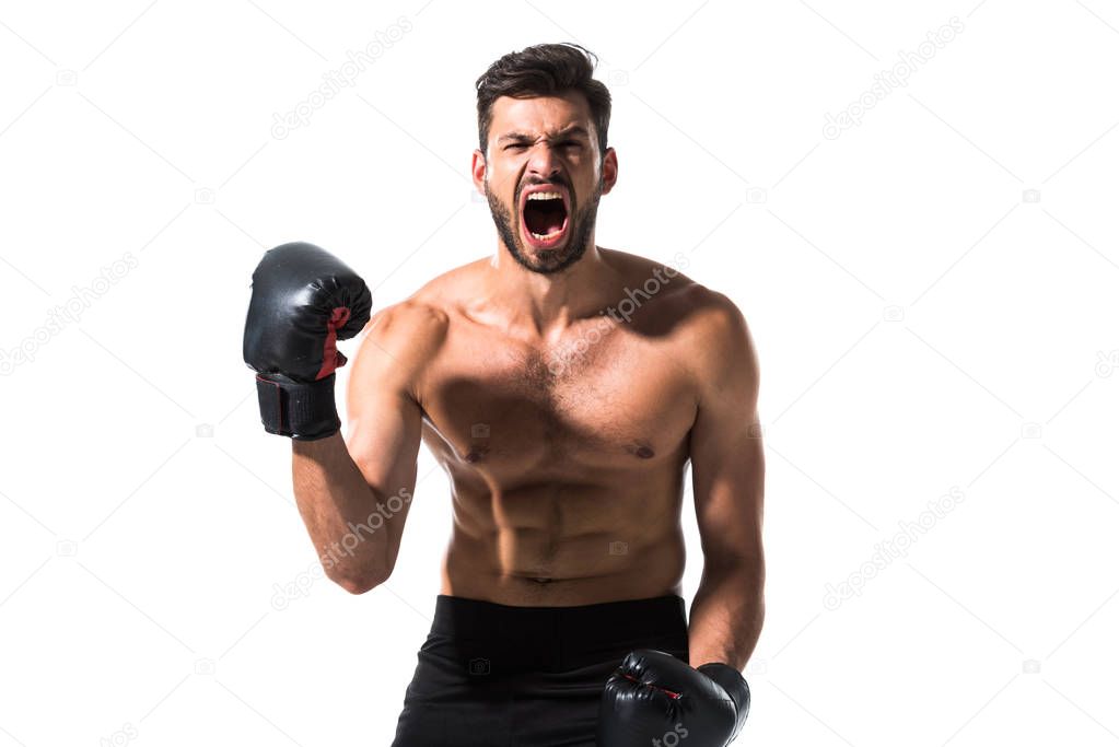angry shirtless Boxer screaming Isolated On White
