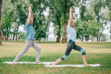 parkta yoga yaparken savaşçı pozlar yoga paspaslar üzerinde duran olgun erkek ve kadın