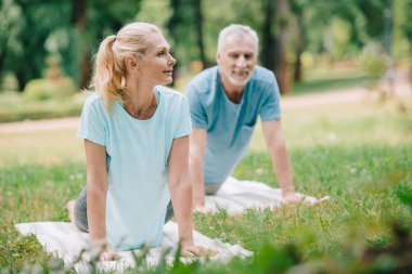 parkta yoga yapan güler yüzlü, olgun erkek ve kadının seçici odağı