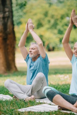 olgun erkek ve kadın lotus meditasyon parkta kapalı gözlerle pozlar