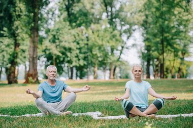 olgun erkek ve kadın kapalı gözlerle meditasyon yaparken lotus otururken parkta çim üzerinde pozlar