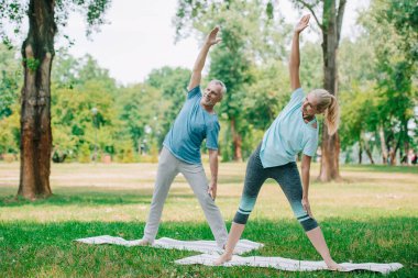 gülümseyen, olgun erkek ve kadın parkta yoga yaparken savaşçı pozlar ayakta