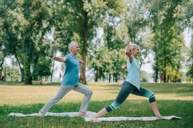 parkta çim yoga yaparken savaşçı duran olgun erkek ve kadın pozlar