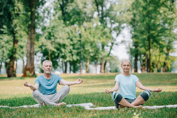 mature man and woman meditating with closed eyes while sitting in lotus poses on lawn in park
